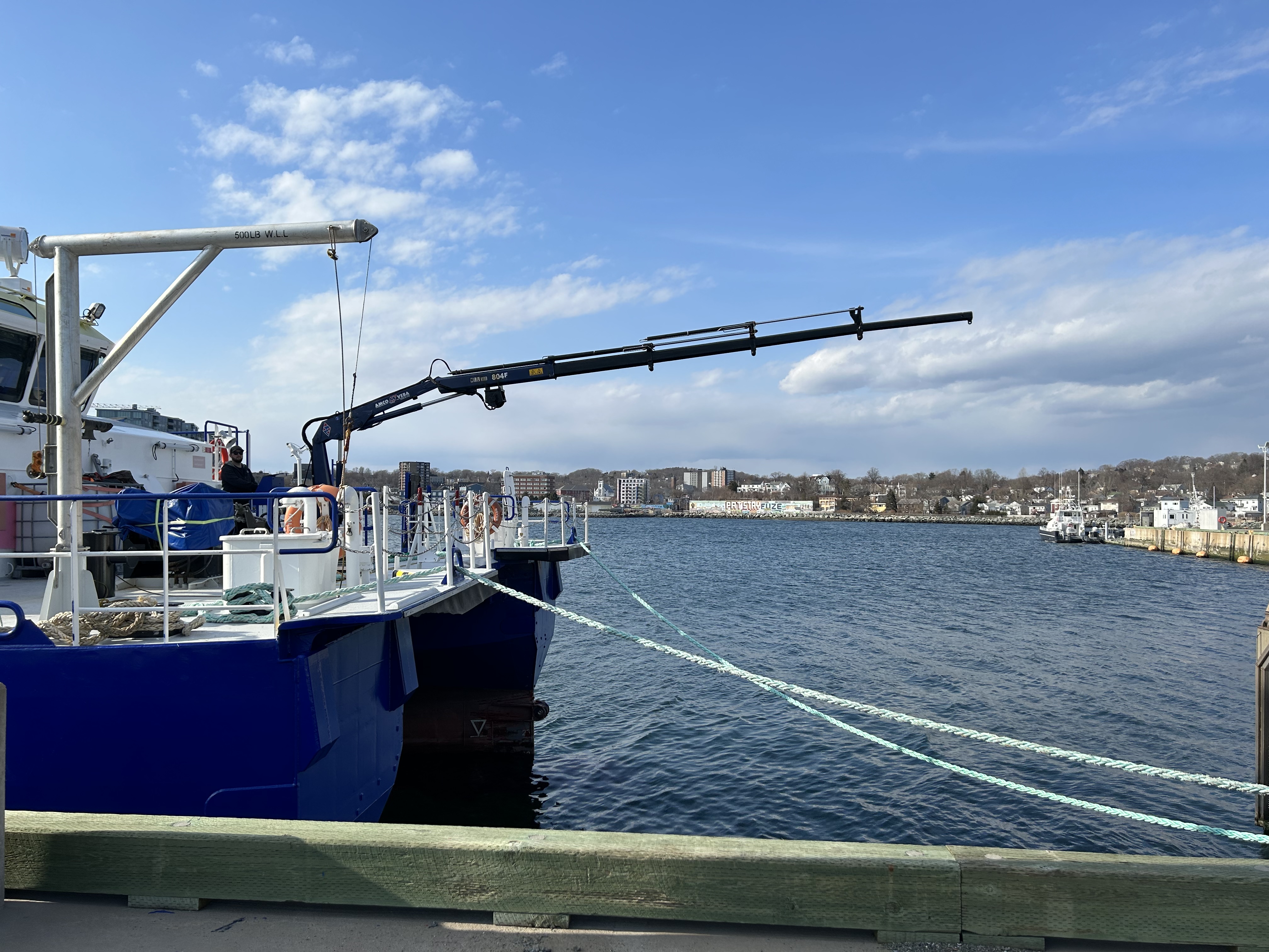 Crane Over Bow