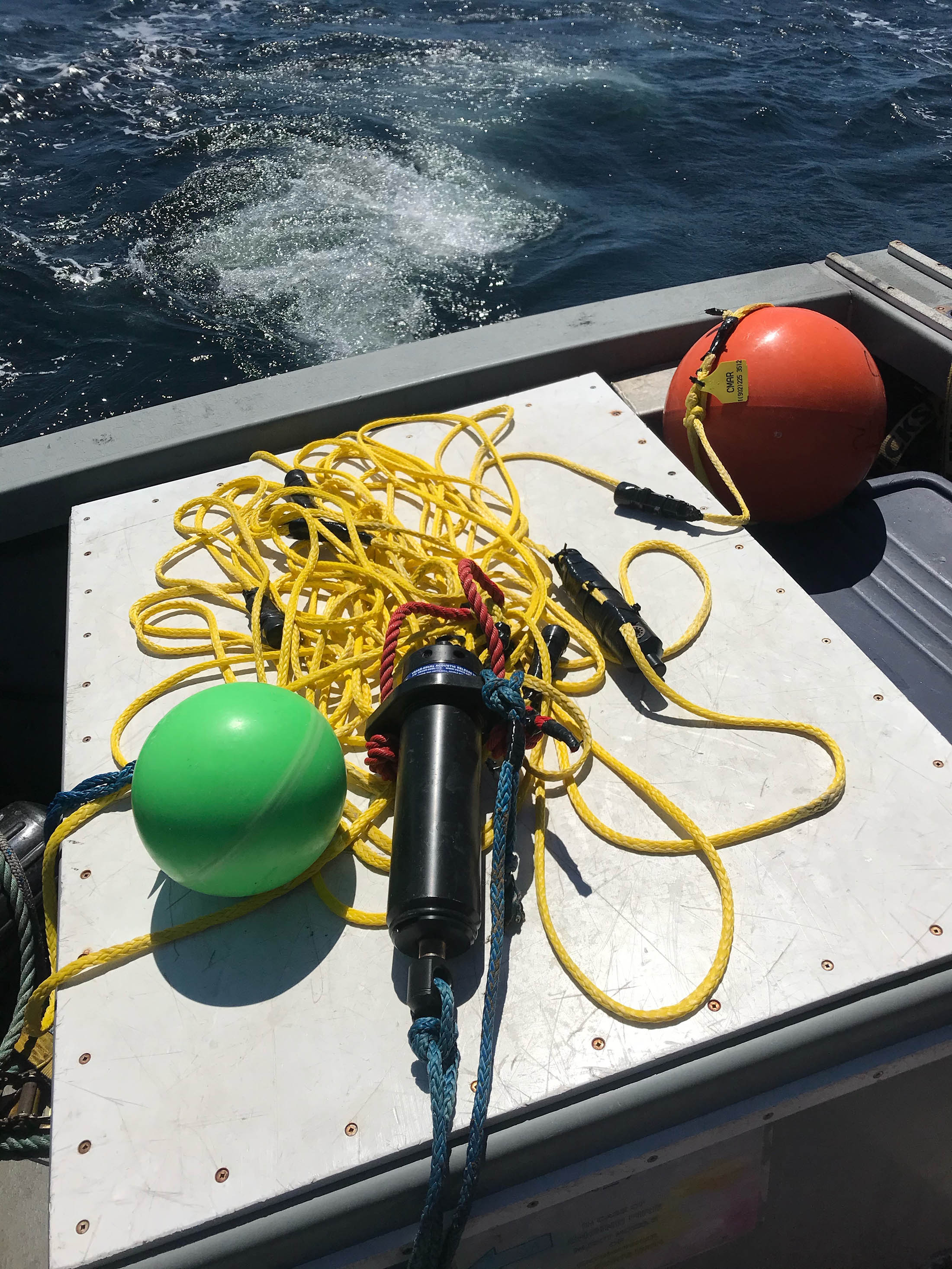 Sensor Deployment