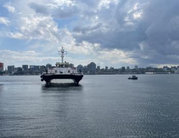 RV Novus